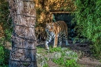 212-muenster - all-weather zoo