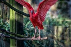 301-duisburg zoo