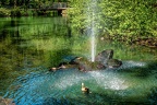 145-oberhausen-duisburg-animal park in the kaisergarten - pond