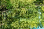 151-oberhausen-duisburg-animal park in the kaisergarten - pond