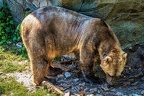 039-osnabrueck zoo
