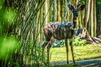062-osnabrueck zoo