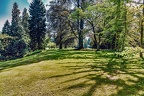 116-villa huegel and krupp essen - hill forest