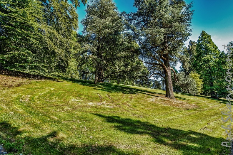 129-villa huegel and krupp essen - hill forest.jpg