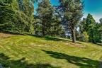 129-villa huegel and krupp essen - hill forest