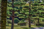 058-duesseldorf - north park - japanese garden
