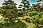 063-duesseldorf - north park - japanese garden