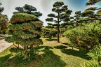 064-duesseldorf - north park - japanese garden
