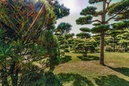 065-duesseldorf - north park - japanese garden
