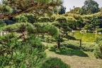 067-duesseldorf - north park - japanese garden