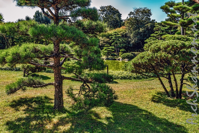 070-duesseldorf - north park - japanese garden.jpg