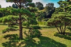 070-duesseldorf - north park - japanese garden