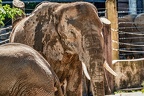 0292 - vienna - castle schoenbrunn zoo
