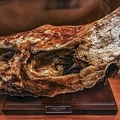 1786 - natural history museum vienna