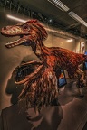 1818 - natural history museum vienna
