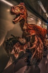 1819 - natural history museum vienna