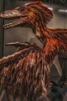 1820 - natural history museum vienna