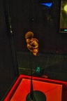 1827 - natural history museum vienna
