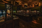 1829 - natural history museum vienna
