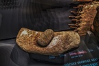 1831 - natural history museum vienna