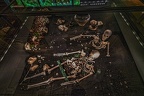 1837 - natural history museum vienna (673 visits) 1837 - natural history museum vienna
