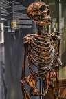 1850 - natural history museum vienna