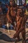 1854 - natural history museum vienna