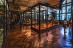 1881 - natural history museum vienna