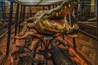 1901 - natural history museum vienna