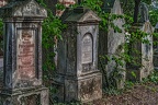 2439 - vienna - st marx cemetery