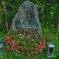 2656 - vienna - central cemetery vienna