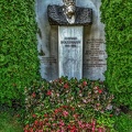 2696 - vienna - central cemetery vienna