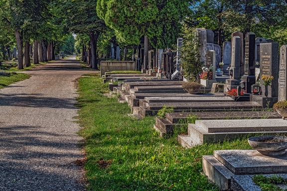2714 - vienna - central cemetery vienna