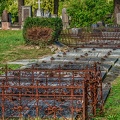 2719 - vienna - central cemetery vienna