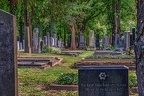 2731 - vienna - central cemetery vienna