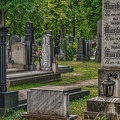 2742 - vienna - central cemetery vienna