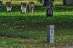 2744 - vienna - central cemetery vienna