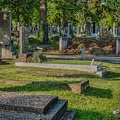 2754 - vienna - central cemetery vienna