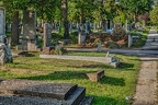2754 - vienna - central cemetery vienna