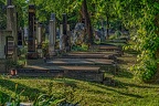 2755 - vienna - central cemetery vienna