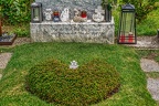2768 - vienna - central cemetery vienna