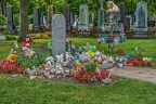 2782 - vienna - central cemetery vienna