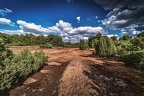086-westruper heide