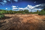 088-westruper heide