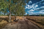 122-westruper heide