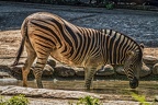 081-duisburg zoo