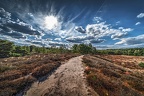 0359-westruper heath