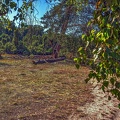 051-westrup heath