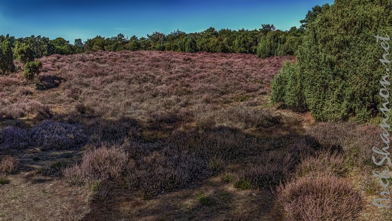 054-westrup heath - 054-westrup heath.jpg 054-westrup heath.jpg