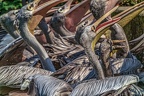 0279-pelicans